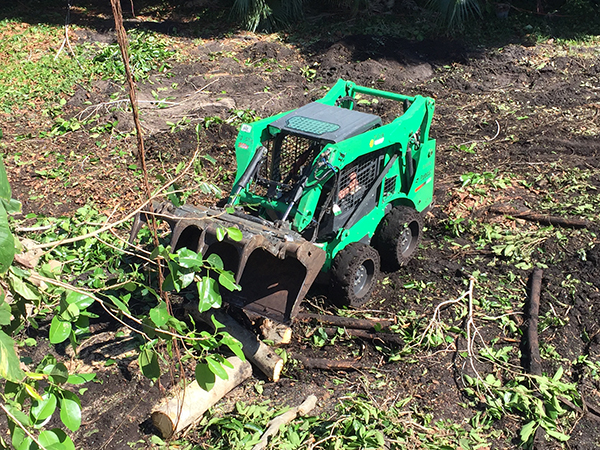 land clearing image